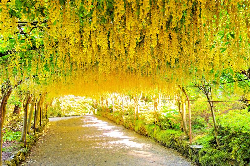 Bodnant Gardens and Llandudno 