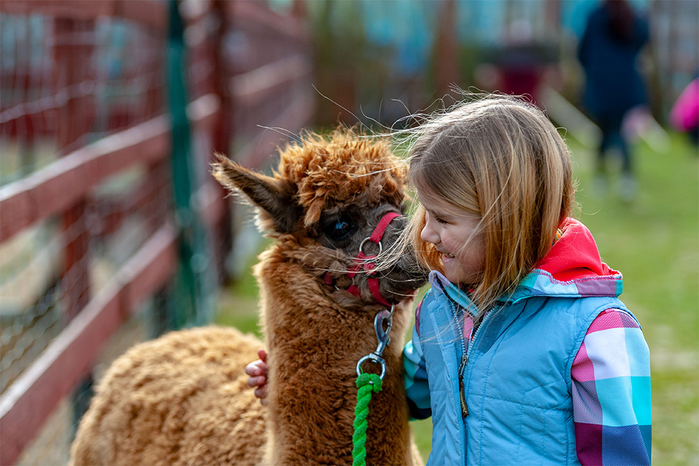 Kids Special - Knowsley Safari Park
