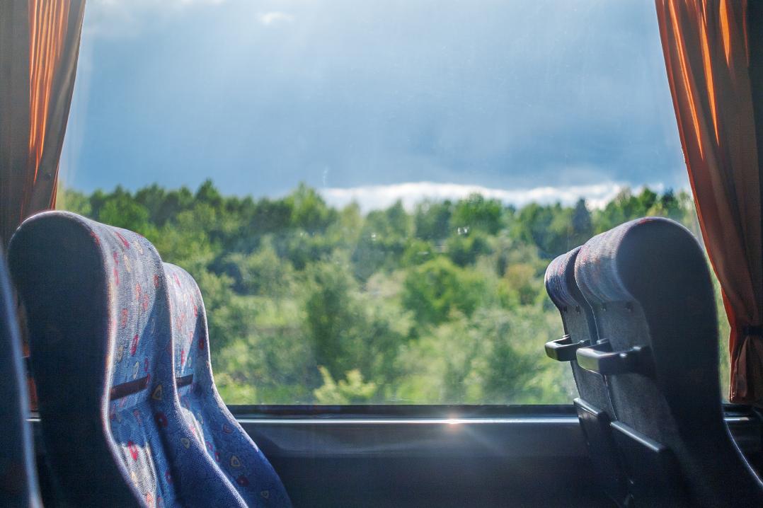 An image of coach seats with greenery in the background