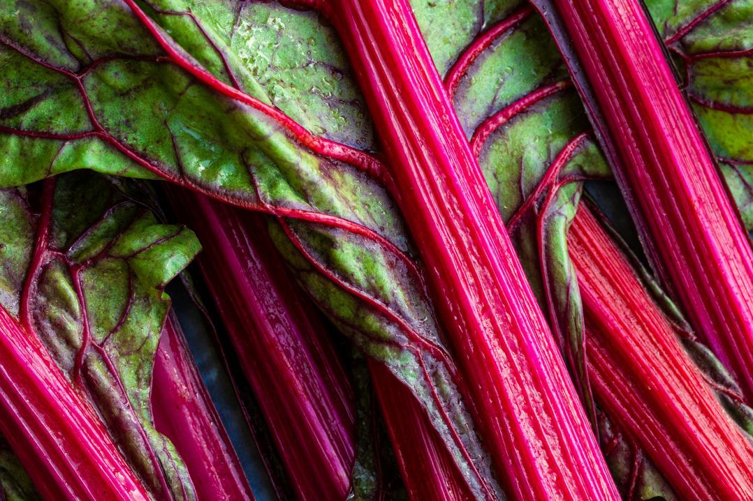 rhubarb