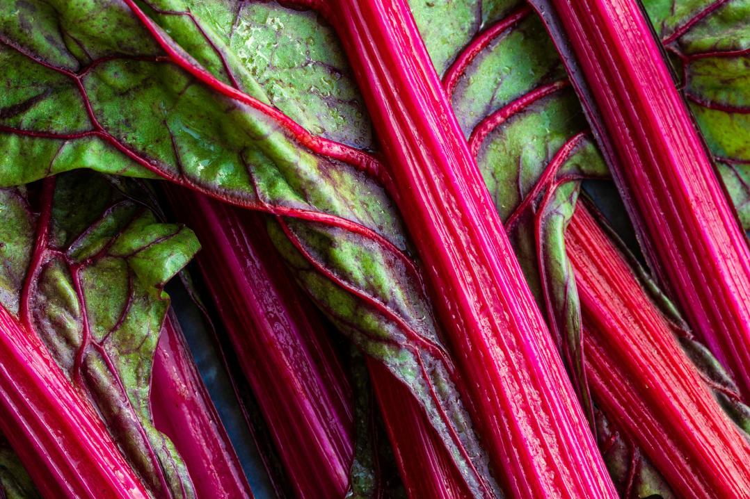 rhubarb