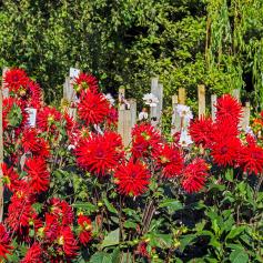 Barnsdale Gardens  Specacular Gardens all year 