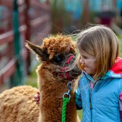 Kids Special - Knowsley Safari Park