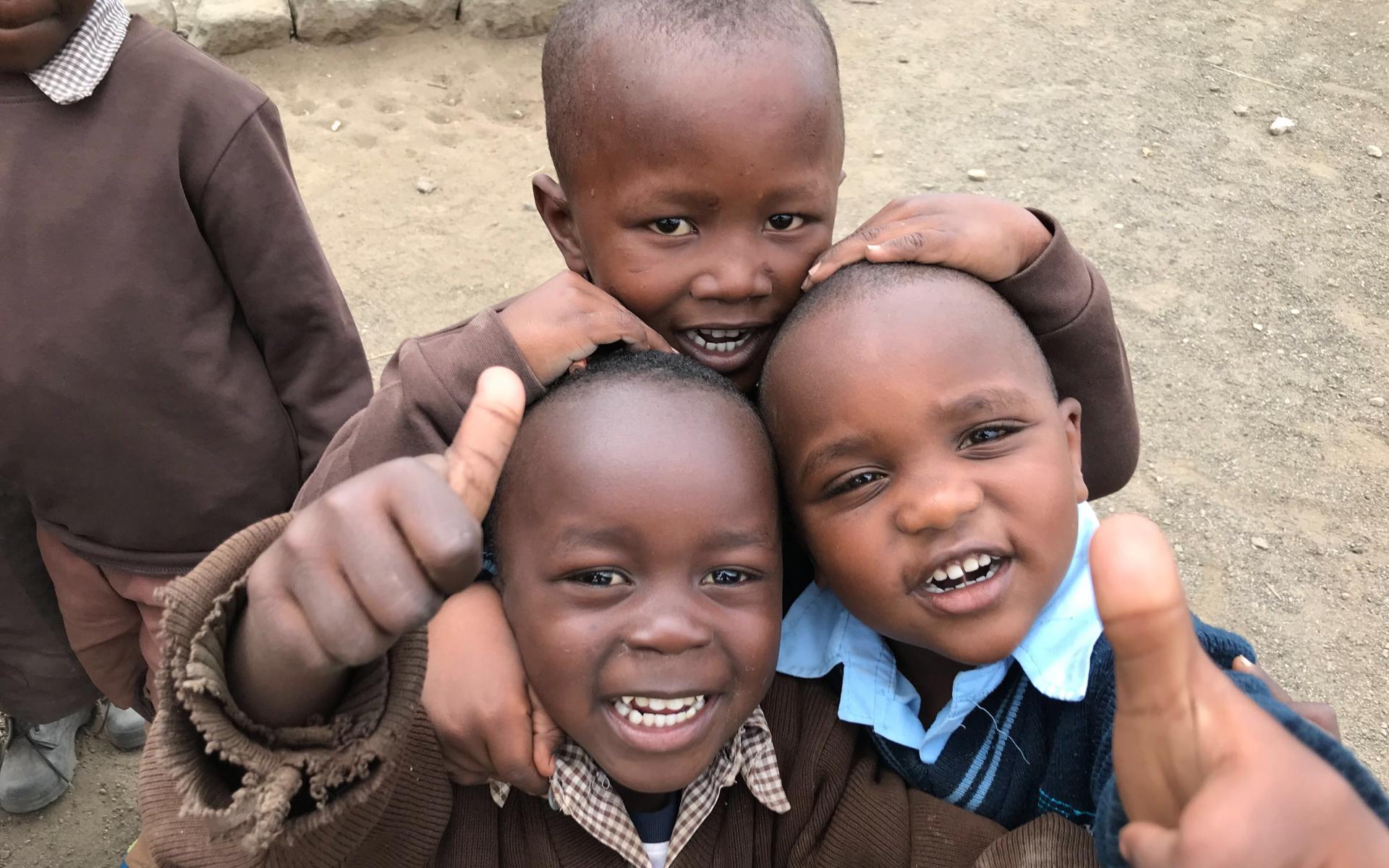Rams in Kenya