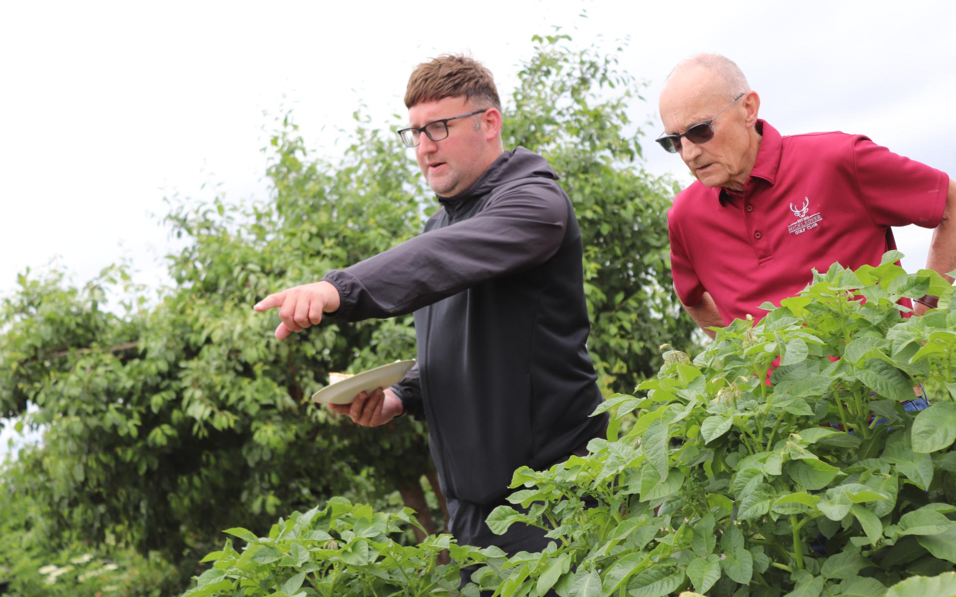 Allotment