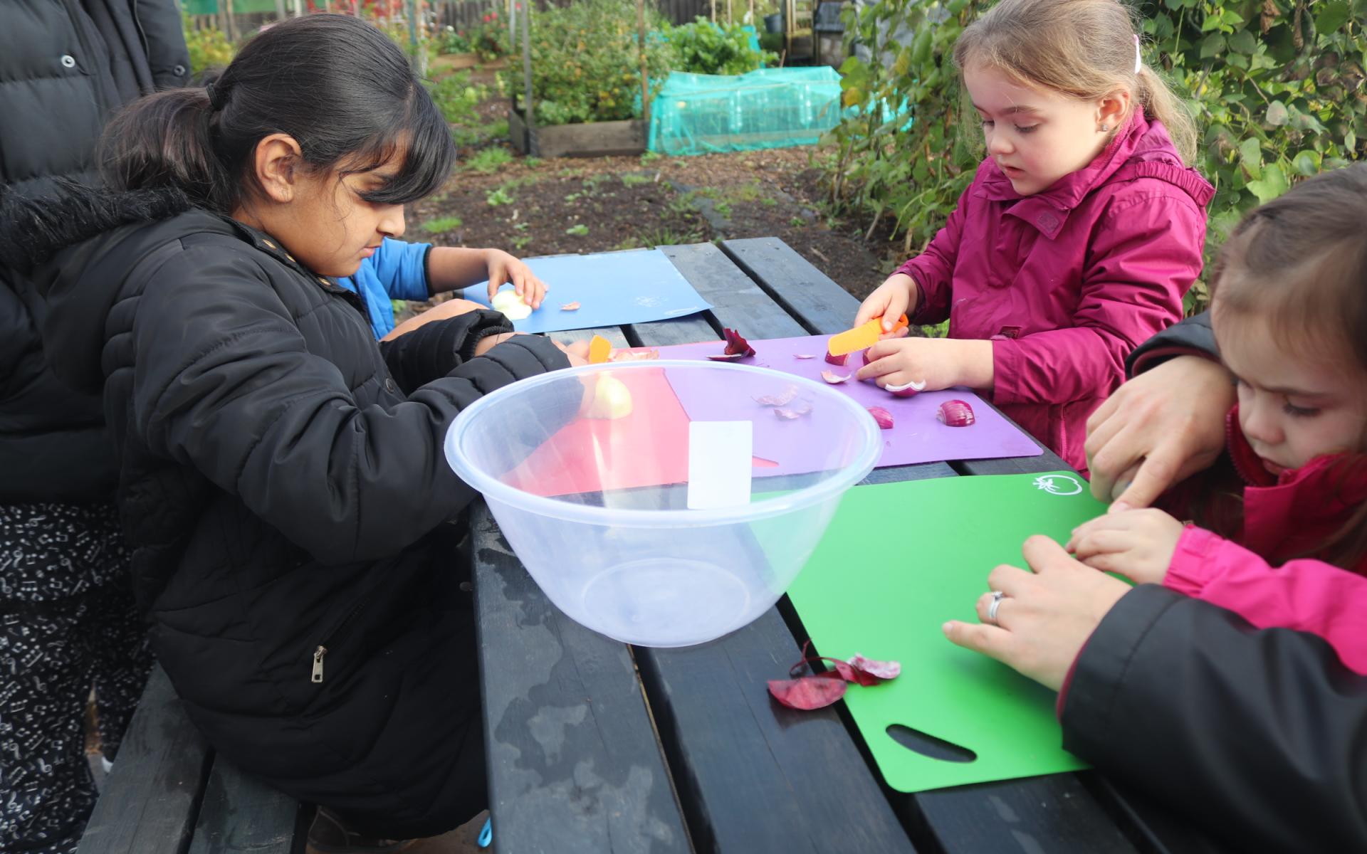 Young participants cut vegetable at a local allotment as part of the LiveIt programme at DCCT