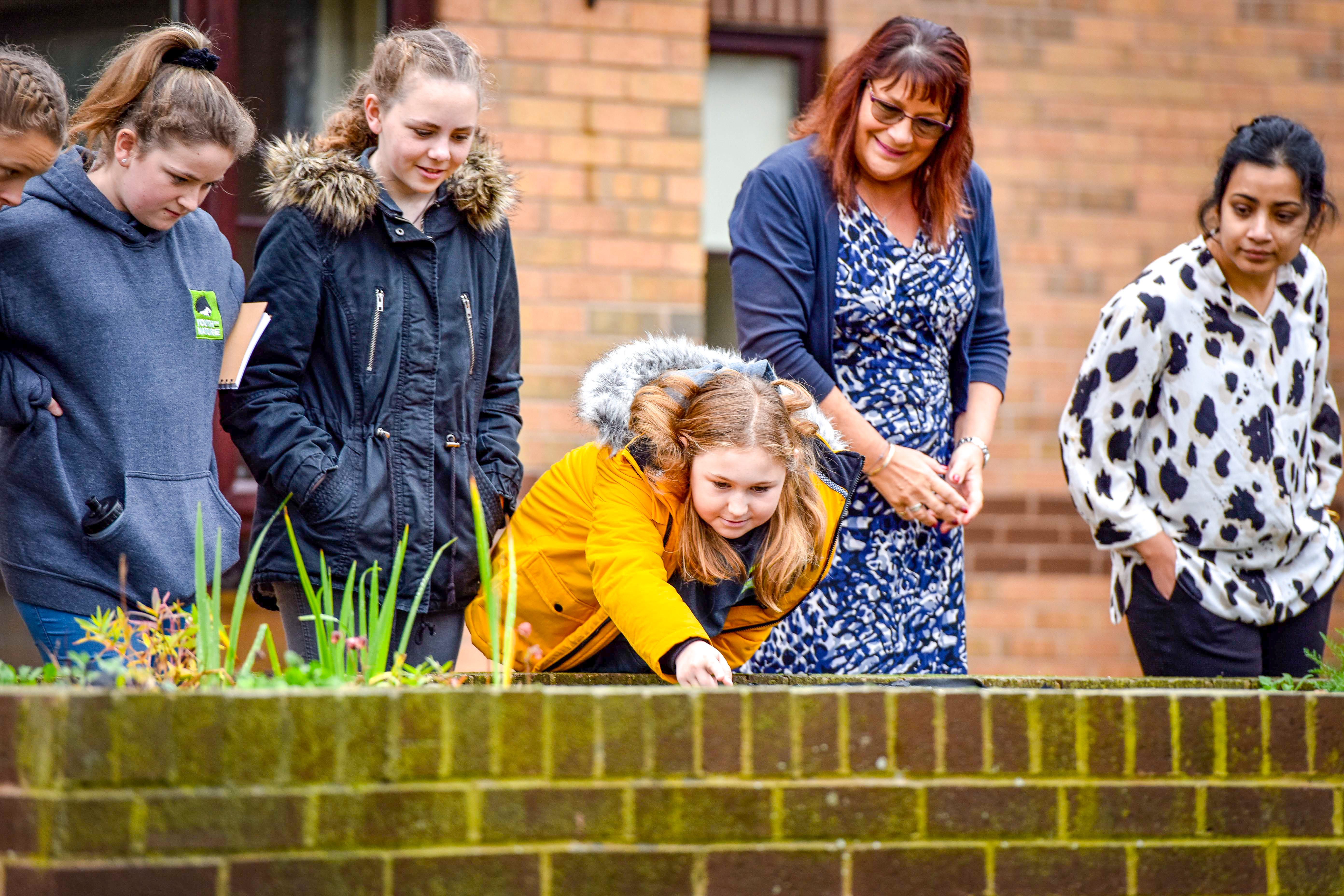 st andrews court gardening youth in nature