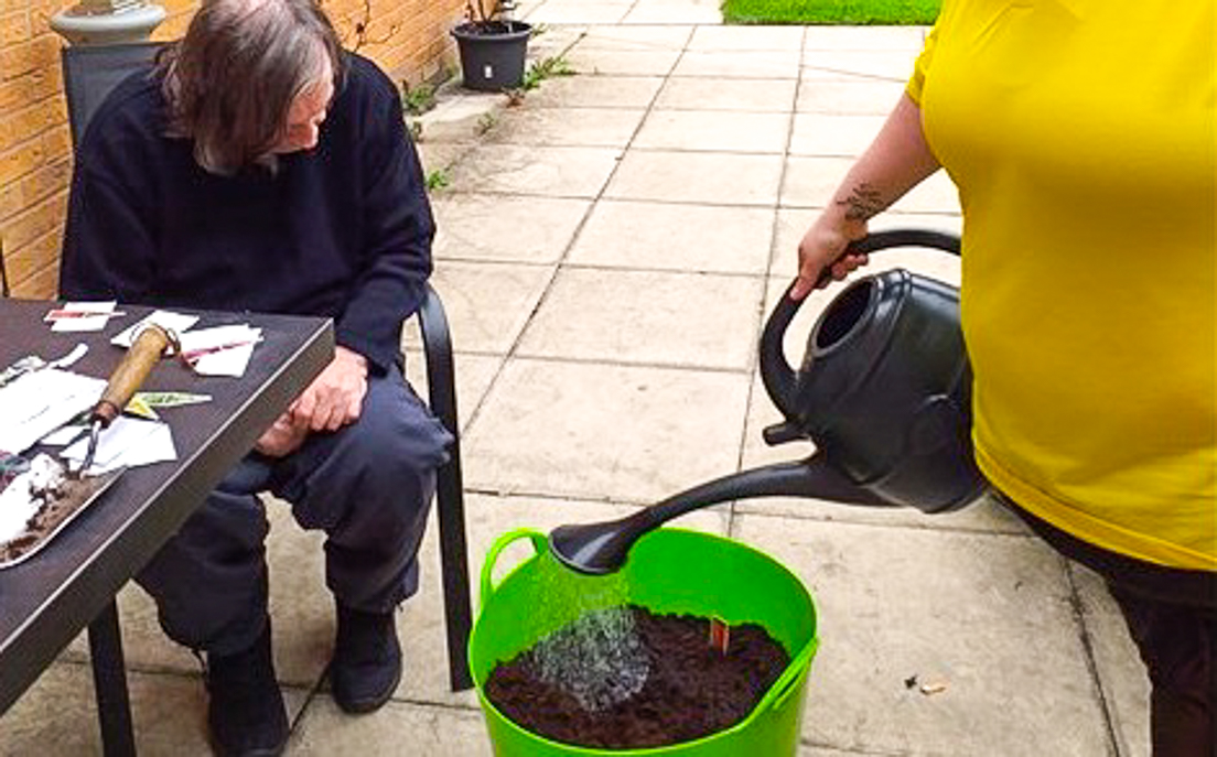 kavanagh gardening
