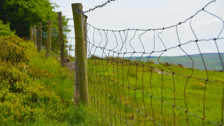 HURST Private Equity Walk