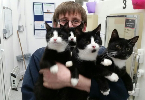 Mat, our cattery team leader, holding found black and white rescue kittens in his arms while they all look at the camera