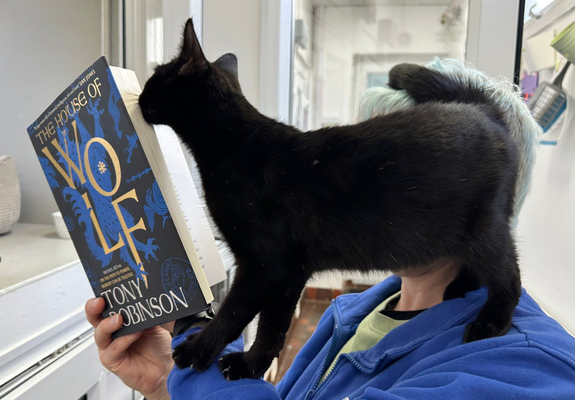 A black kitten is standing on the shoulder of a member of staff, rubbing its face on a copy of Sir Tony Robinsons book The House of Wolf