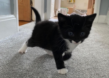 Mykah