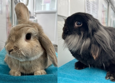 Jakub & Katja