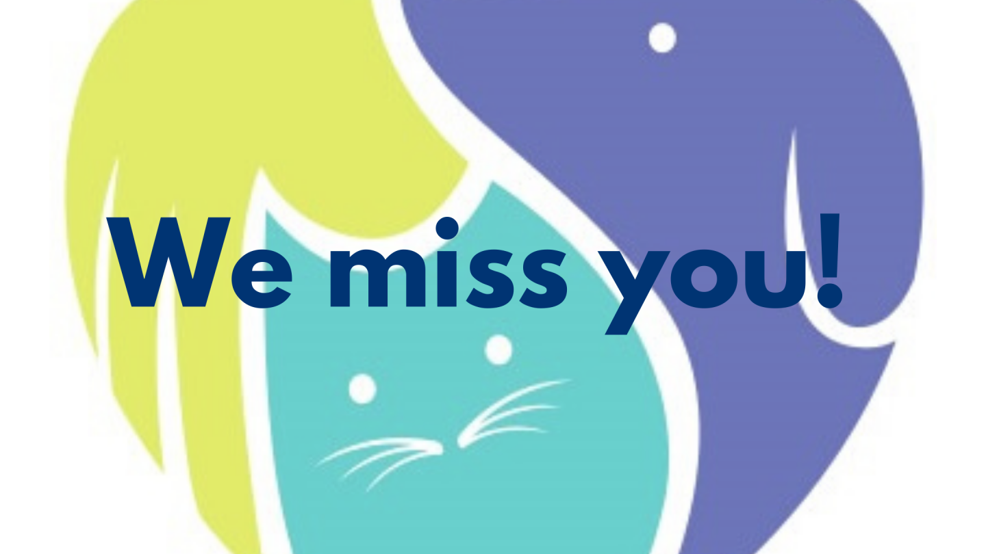 miss you