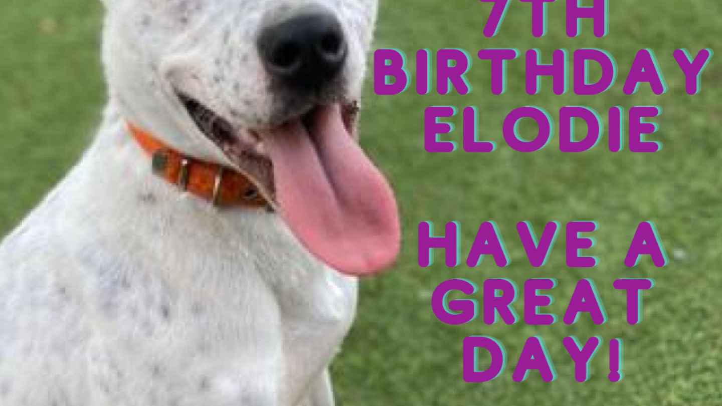 HBD