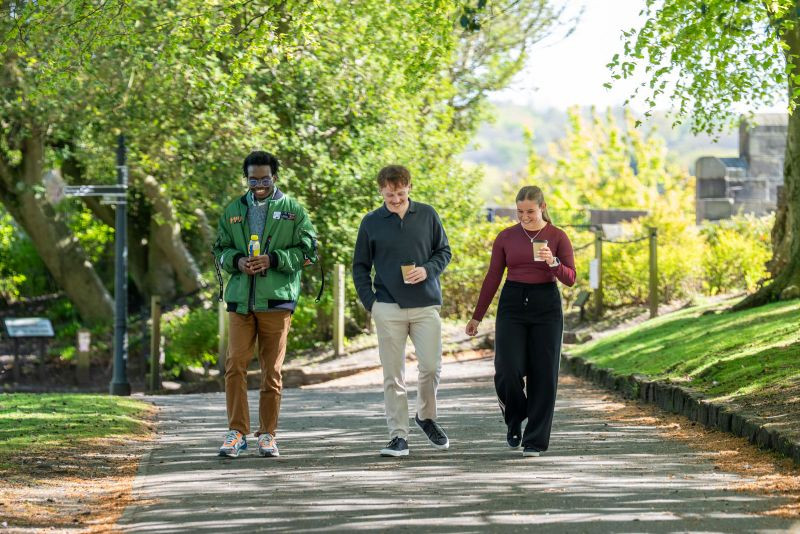 three colleagues walking in a park