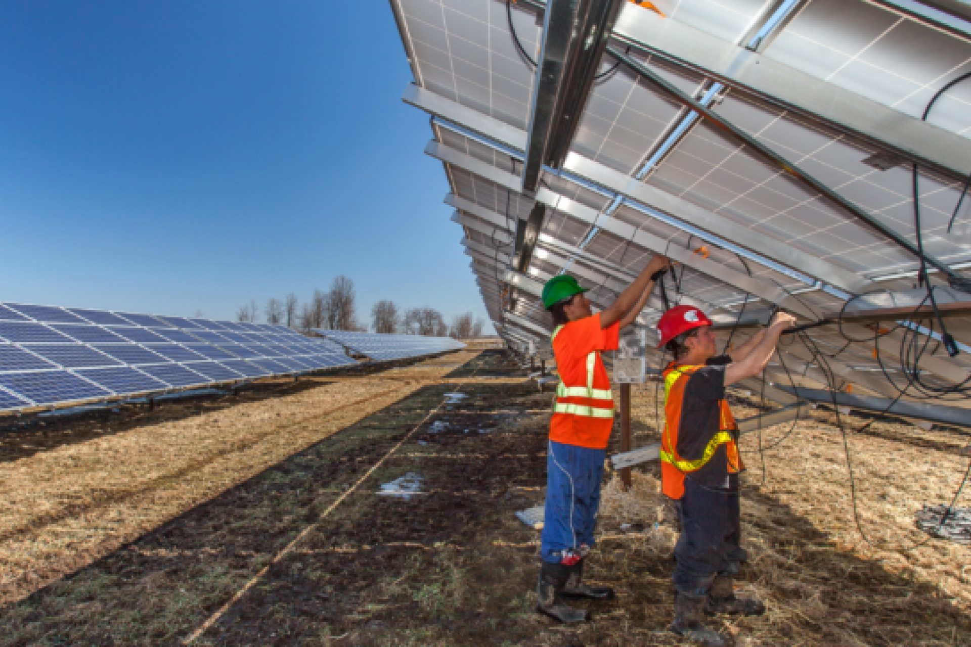 Engineers at work on renewable energy assets.